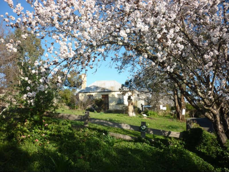 ריצ'מונד Mulberry Cottage Unique B&B Accommodation מראה חיצוני תמונה
