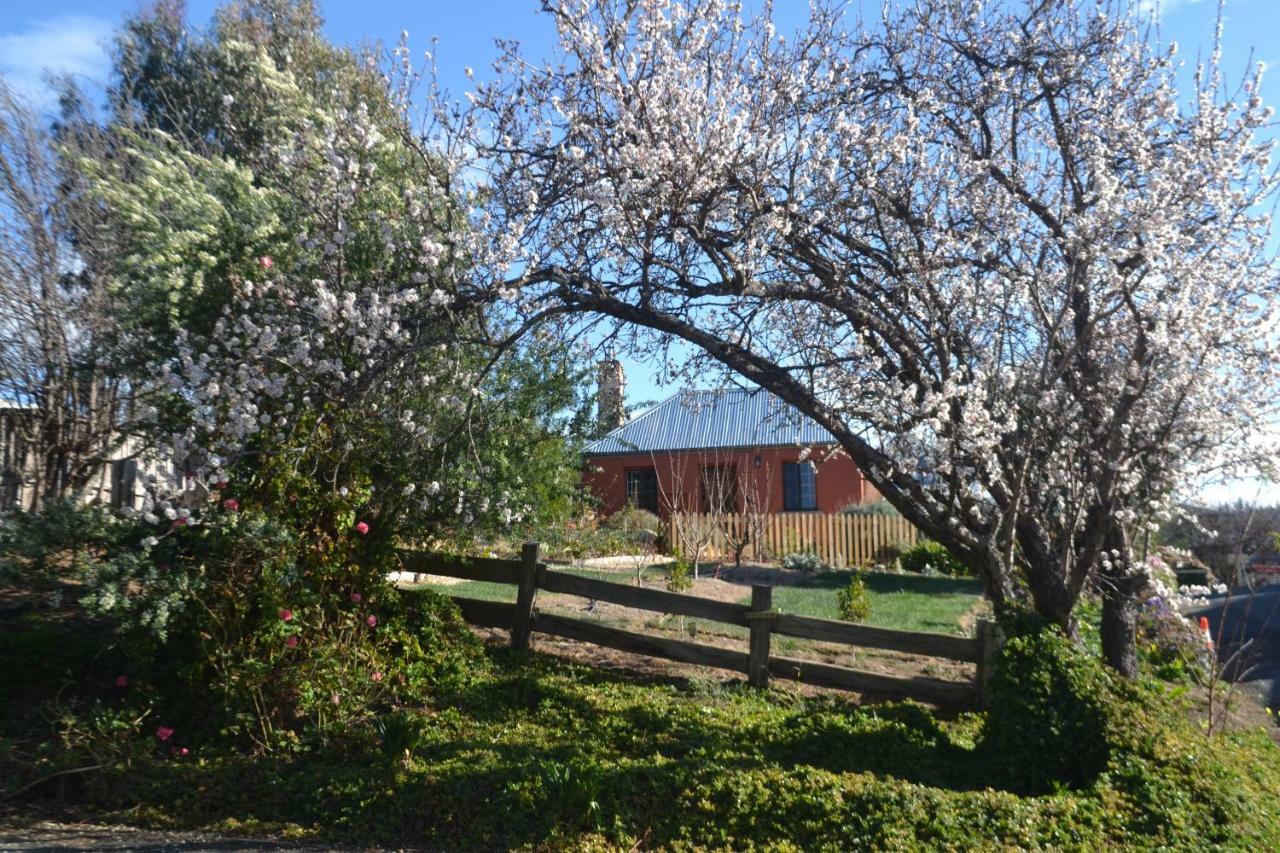 ריצ'מונד Mulberry Cottage Unique B&B Accommodation מראה חיצוני תמונה